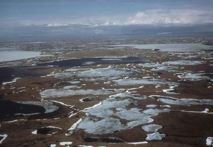 Frost, is, små, innsjøer, våtmarker, antennen perspektiv