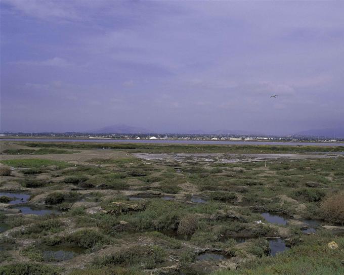 huge salt marshes, surrounding, San Diego, bay