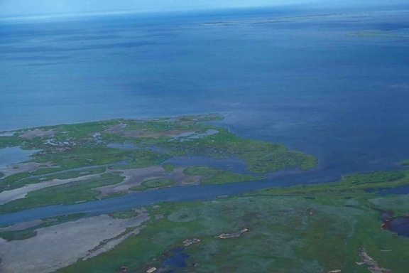 vaste zone de marais, couvert, eau
