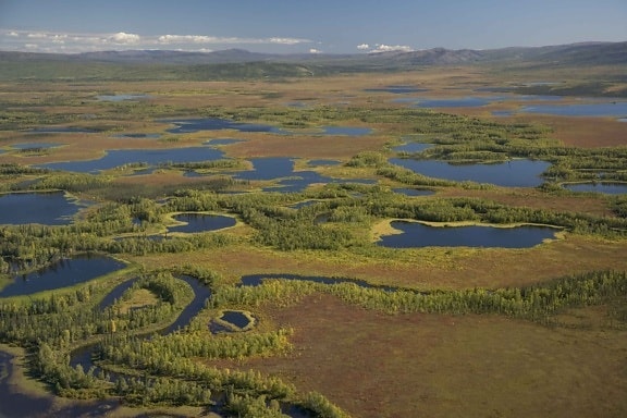 kanuti, river, wetlands