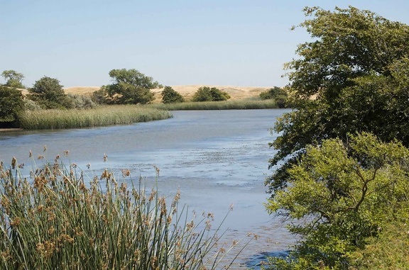 Lindsey, slough Sacramento river, basin