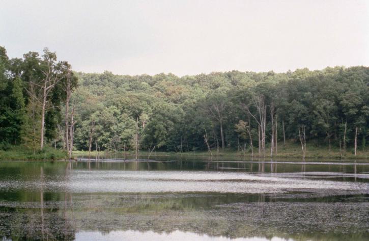 ミンゴ、国立公園、湿地