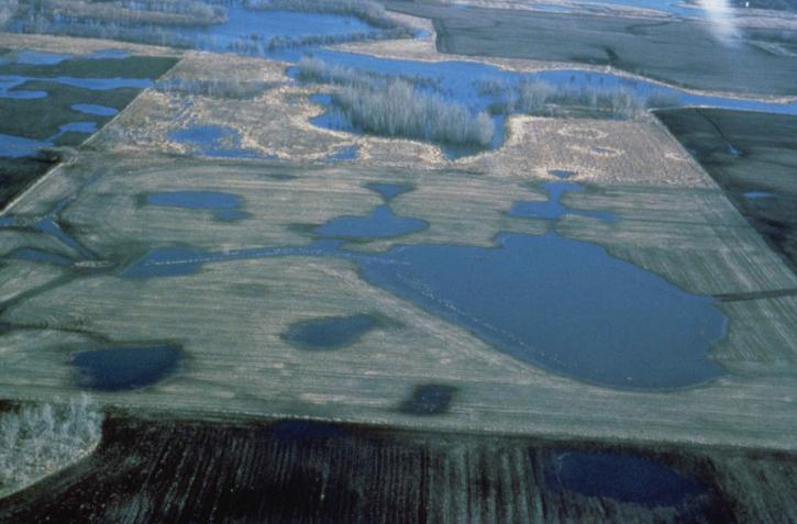 Prairie, kocioł erozyjny, podmokłych