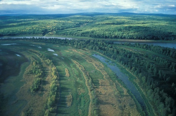řeka, bažiny, krajina