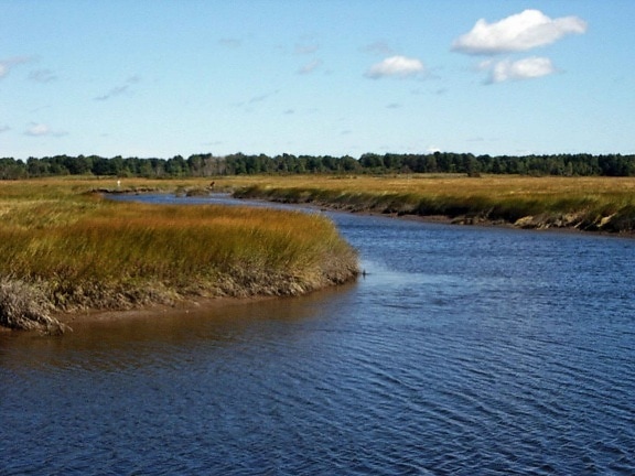Scarborough, marsh, apă sărată