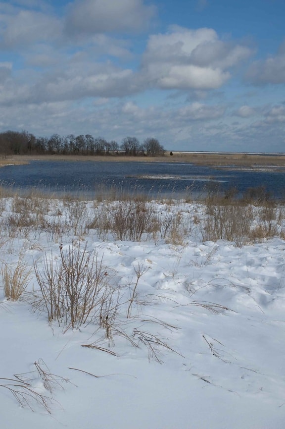 scenic, wetland area, snowy, day