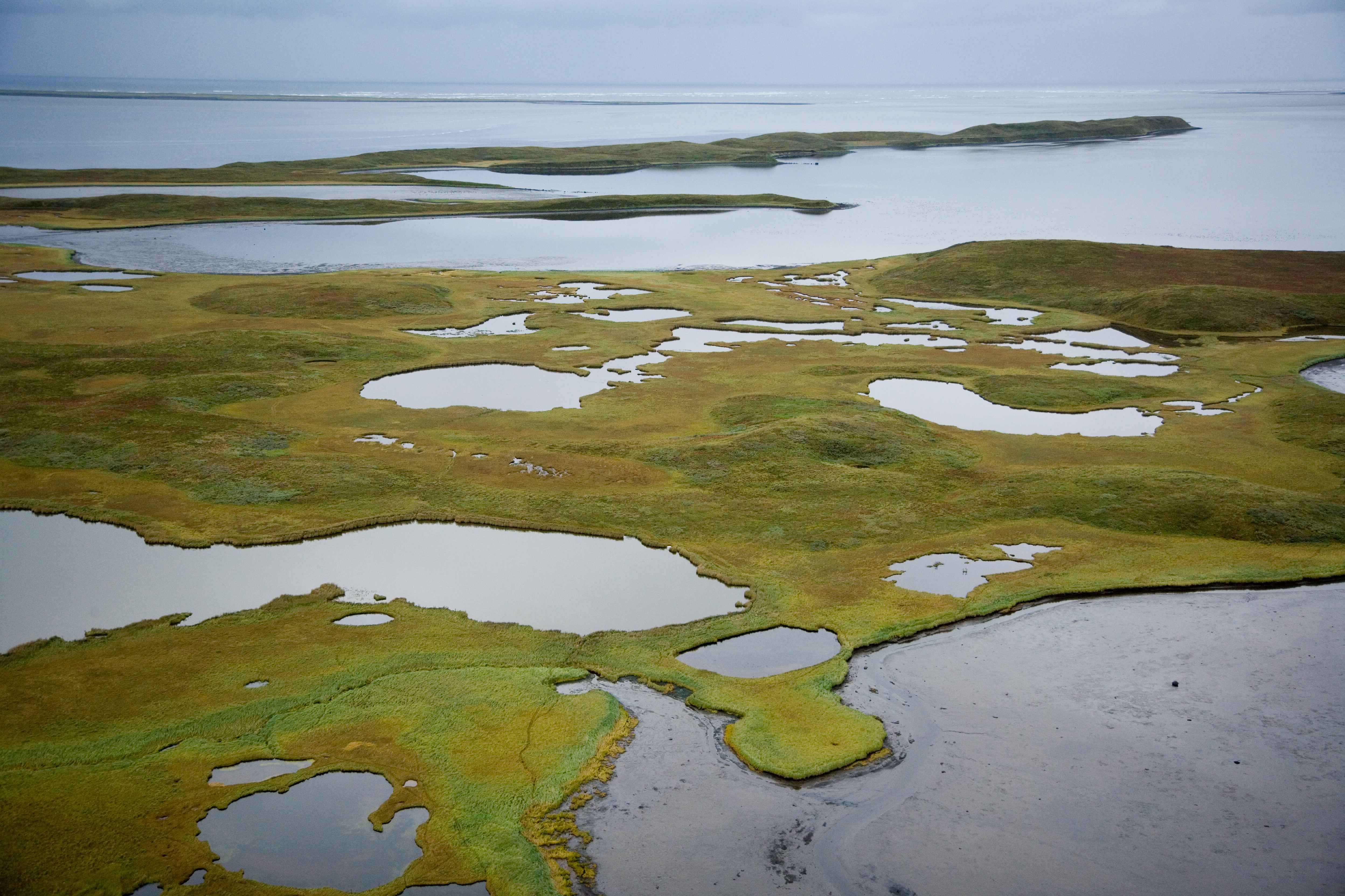 Крупнейшее болото европы. Термокарстовые озера Восточной Сибири. Заболоченная тундра. Термокарст (термокарстовое озеро. Термокарст в тундре.