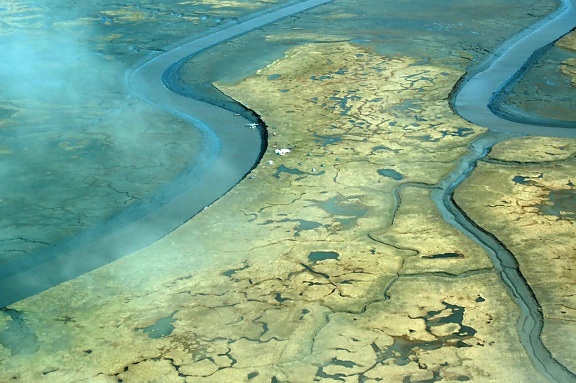 pantano, río, delta