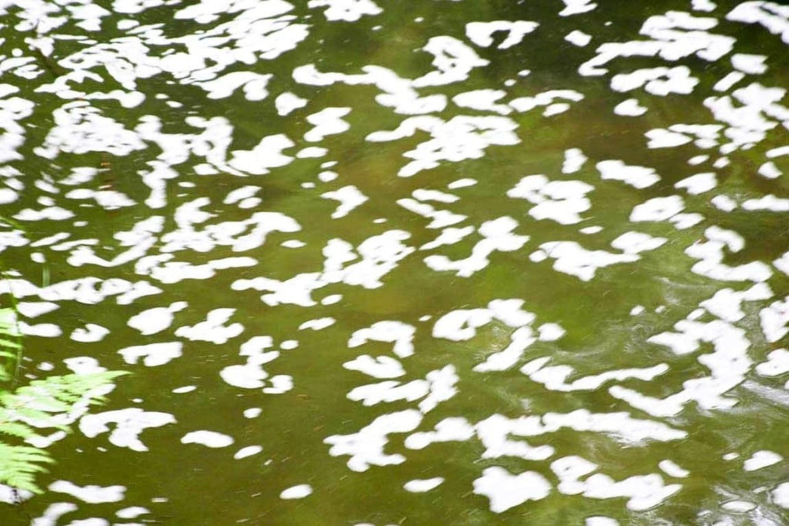 Заболоченная вода текстура