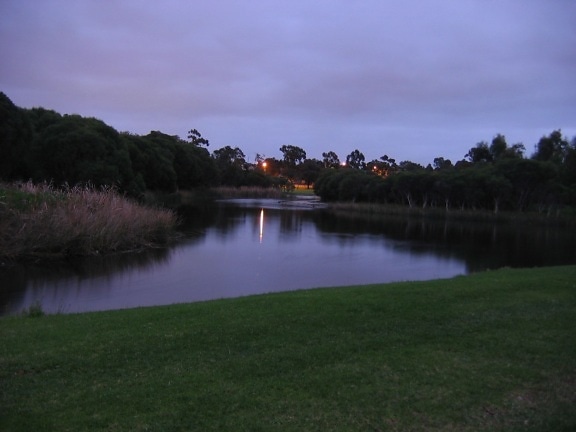 al otro lado, Carine, pantano, amanecer, occidental, Australia