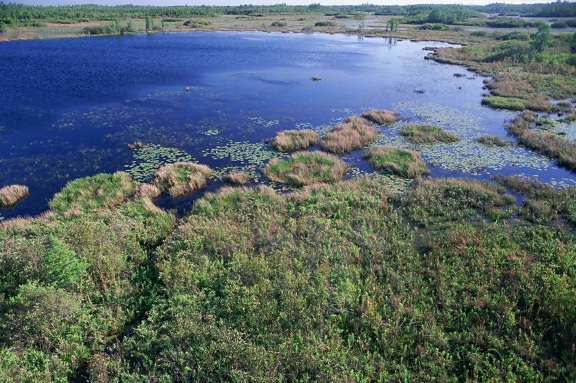 wetland area, shallow water, land