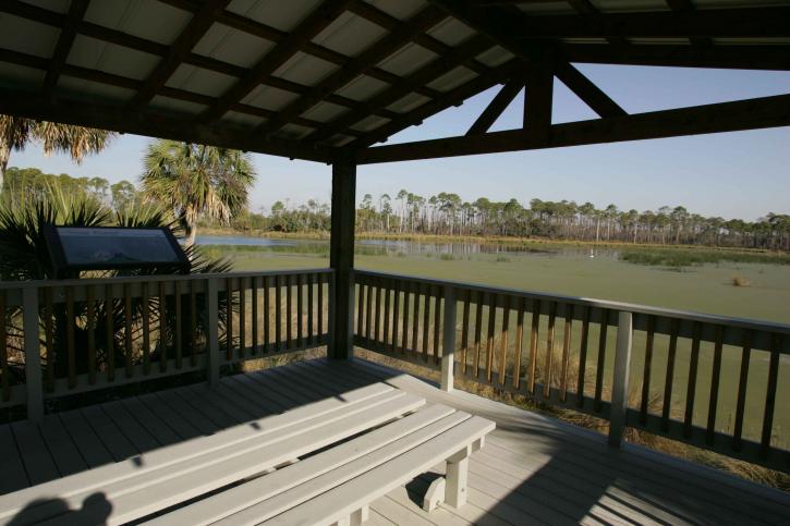 wetland, observation, deck