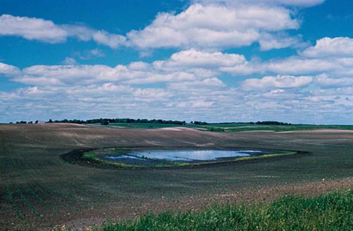 impacto agrícola, zonas húmidas,