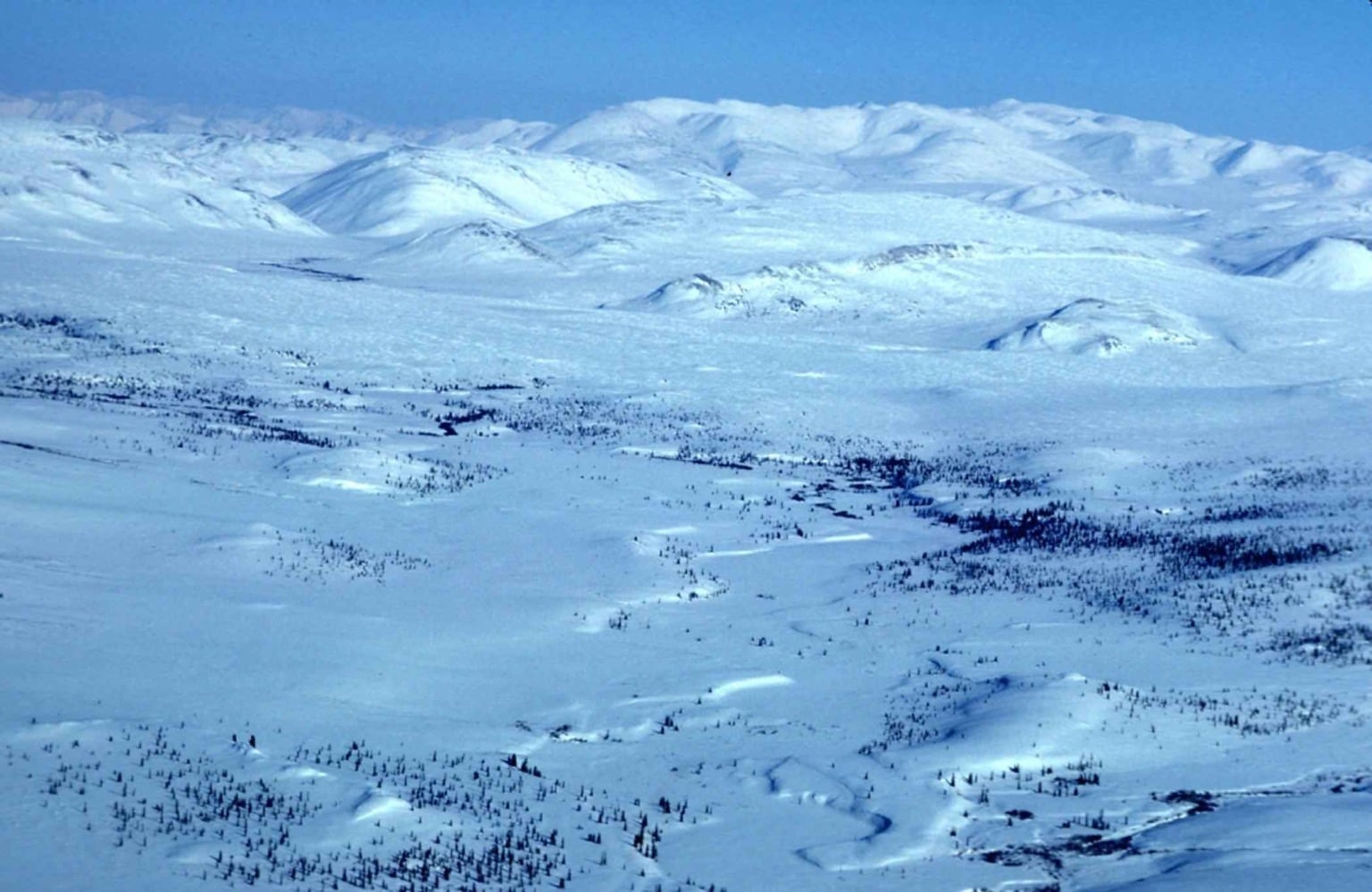 Freeze land. Холодный хребет. Хребет Брукса. Хребет холодные белки. Clear fork River Valley.