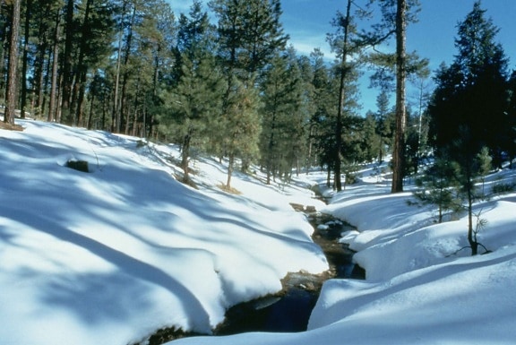 talvi, luonnonkaunis, Arizona