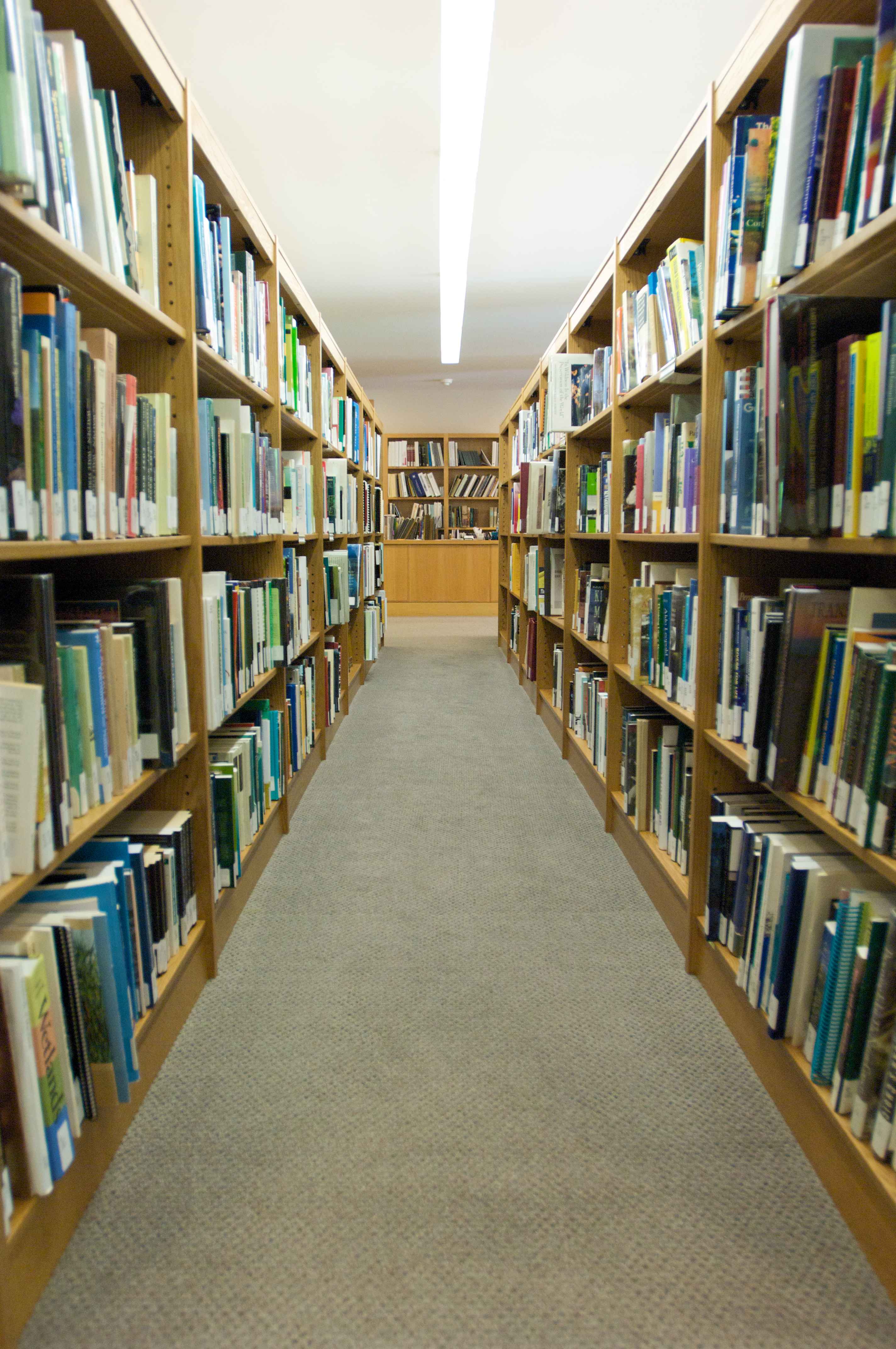 Free picture: bookshelves, library