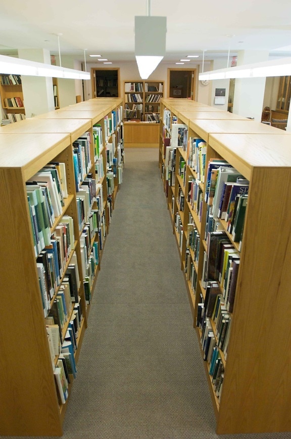 bookshelves, books, library