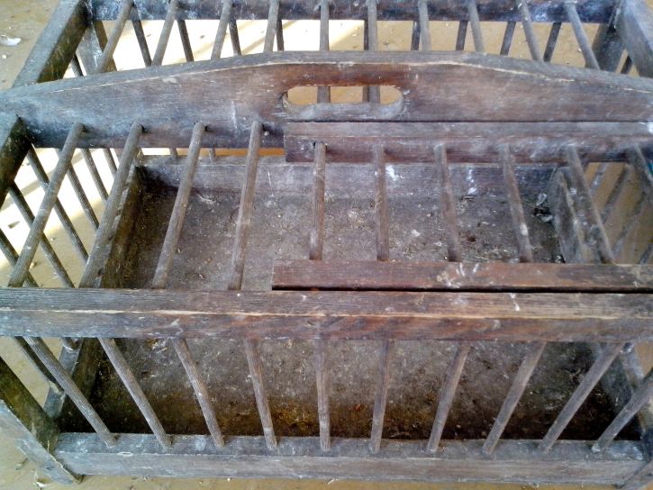 transport, cage, small, animals, wooden, cage
