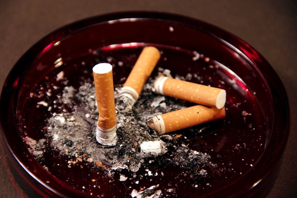 Free picture: cigarette smoking, tobacco, ashes, ashtray, close-up