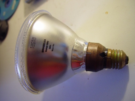 floodlamp, bulb, screw, fitting