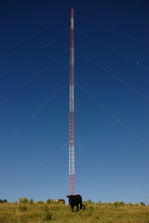 antena de transmissão de grande