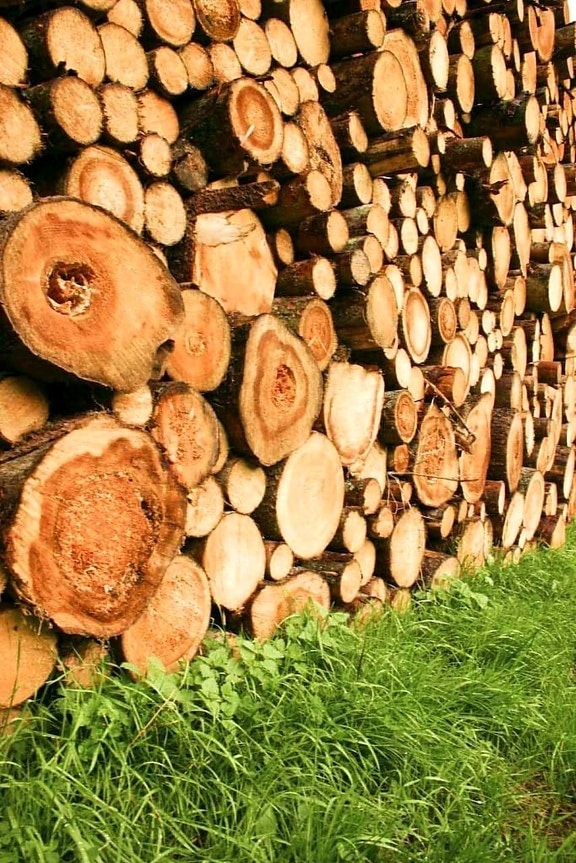 logs, high, detail, photo