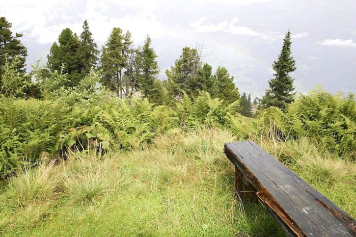 old, wooden, bench, hill