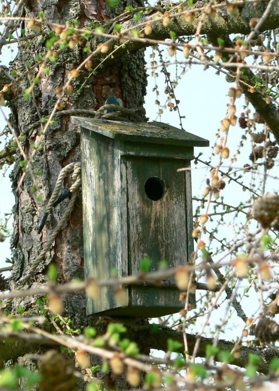 old, wooden, nesting, box
