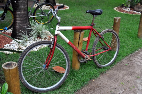 red, mountain, bike