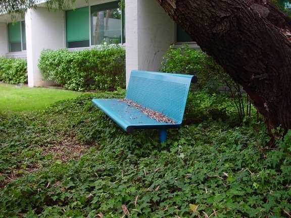 secluded, bench