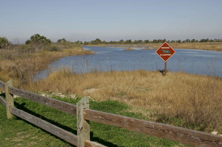 alligator, warning, sign, park