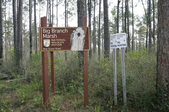 entrance, sign, big, branch, marsh, wilderness, refuge