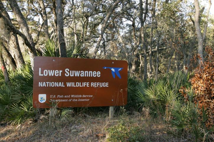lower, suwannee, wilderness, refuge, board, sign