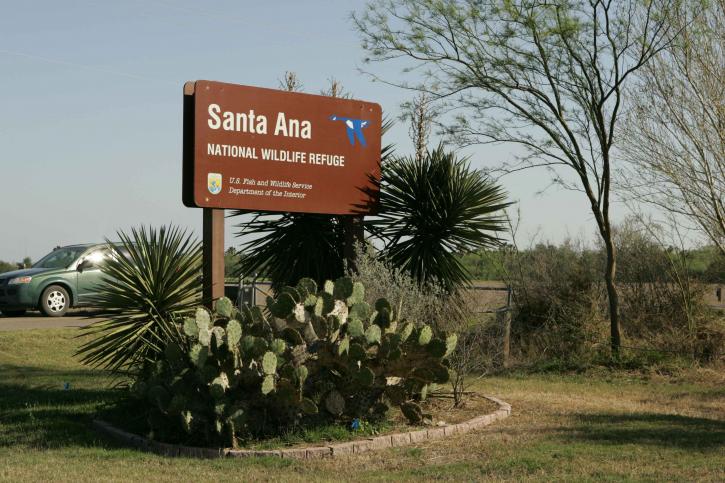 Santa, vildmark, fristad, sign, planterade, kaktusar