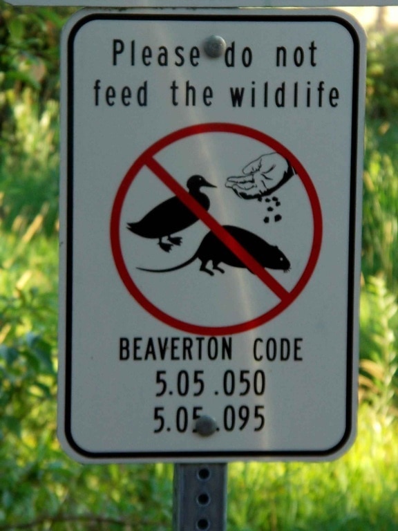 sign, advising, feeding, wildlife