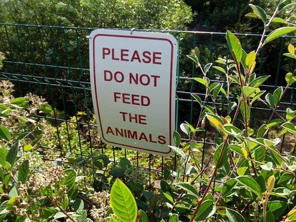 sign, advising, feed, animals