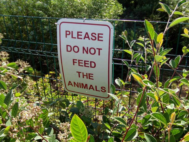 sign, advising, feed, animals