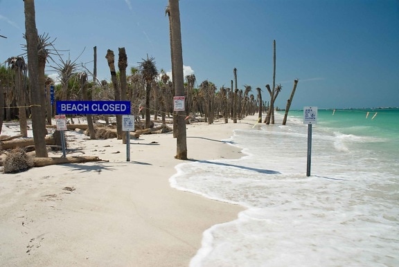 beach closed, sign