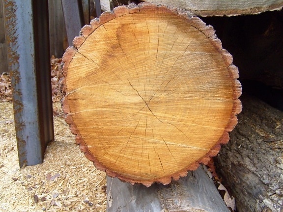 木材の破片