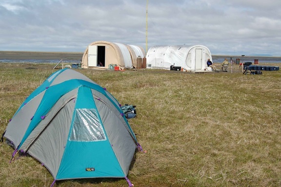 палатки, поле