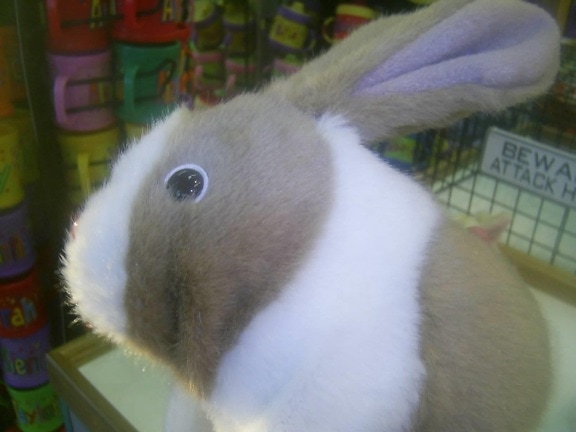 battery, operated, toy, bunny, toy, store