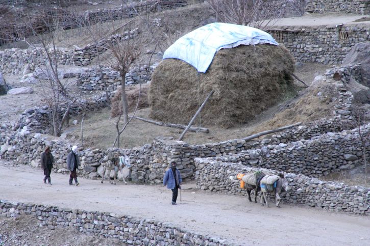Afganisztán, férfiak, a szamarak, hordoz, áruk, készletek, vidék