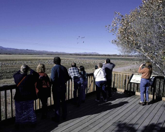 birdwatchers, deck, observe, birds, binoculars, cameras