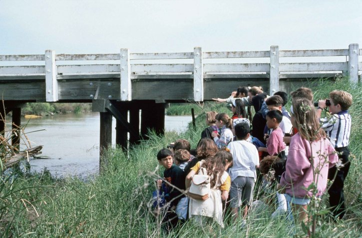 grupo, los niños, la vida silvestre, puente