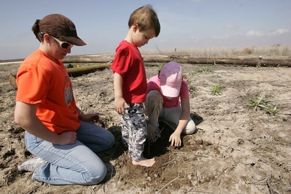 young boy, helps, sister, mother, girl, scouts, plant, trees
