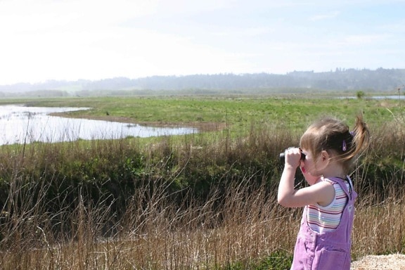 young girl, gazes, marsh, area