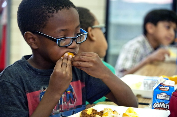 African American, boy, photographed, eating, freshly, peeled, orange