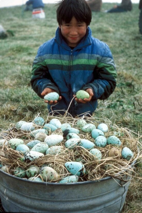 boy, holds, eggs, hands