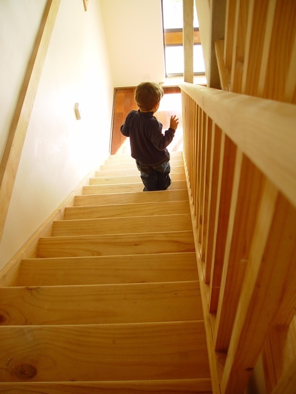 garçon, pin, escaliers