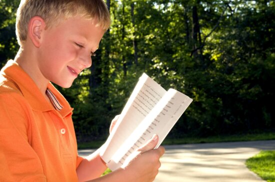 boy, photographed, reading, book, outdoors, setting